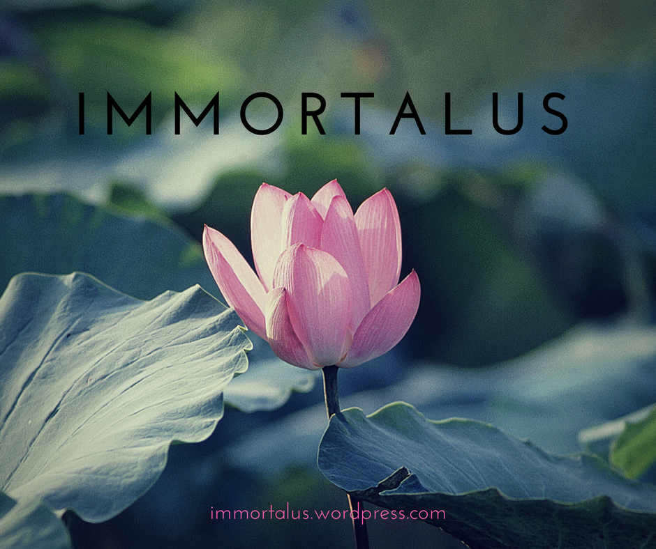 immortalus-profile